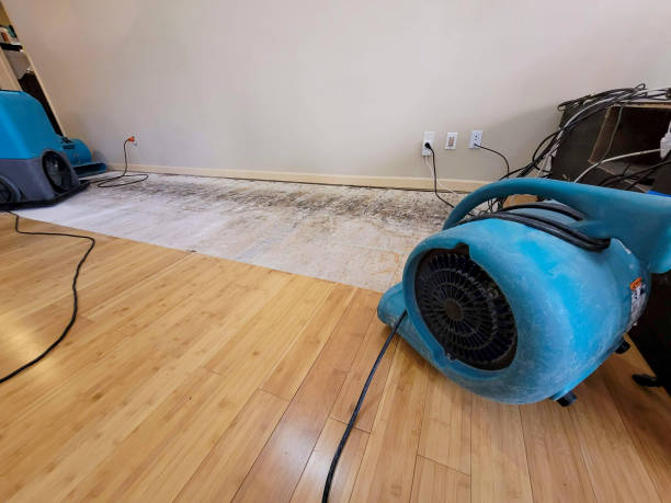 Professional Water Damage Repair technician working in Gardner, KS